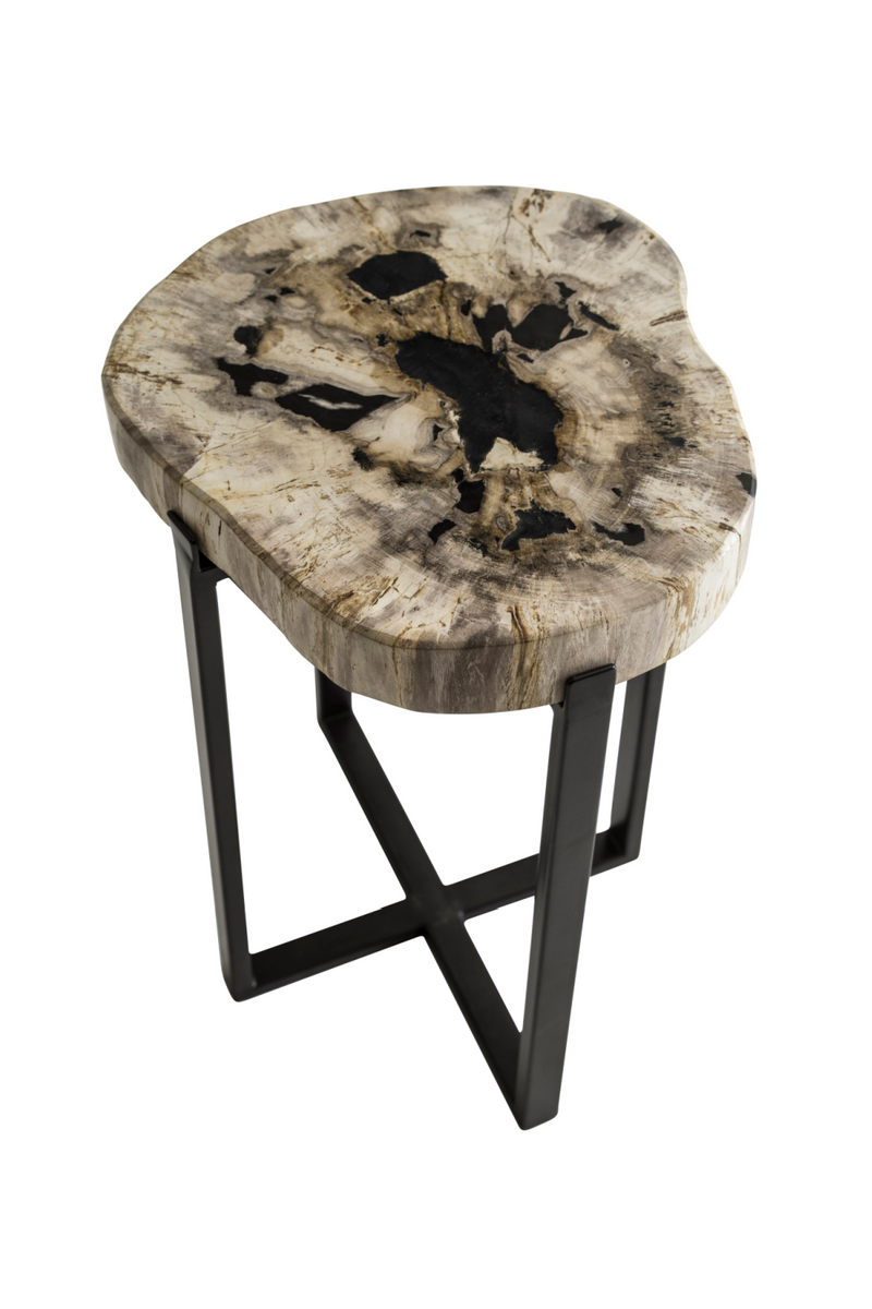 Petrified Wood Lamp Table | Andrew Martin Peter Disk | Woodfurniture.com