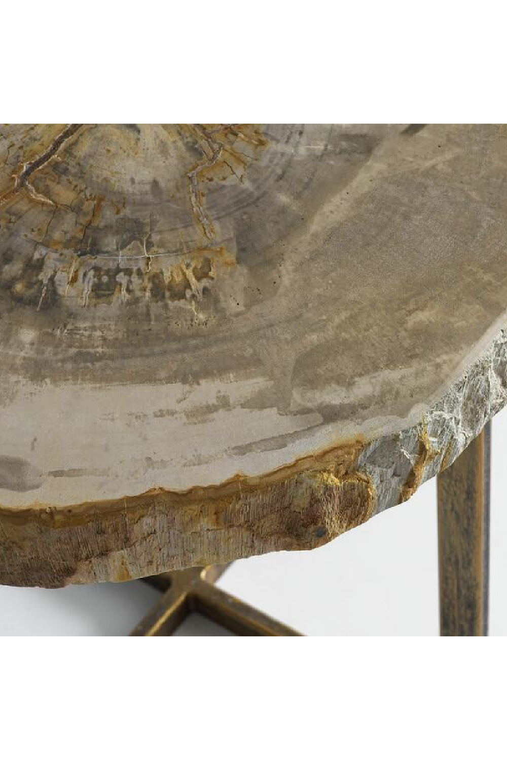 Light Round Petrified Wood Side Table | Andrew Martin Jonah | Woodfurniture.com