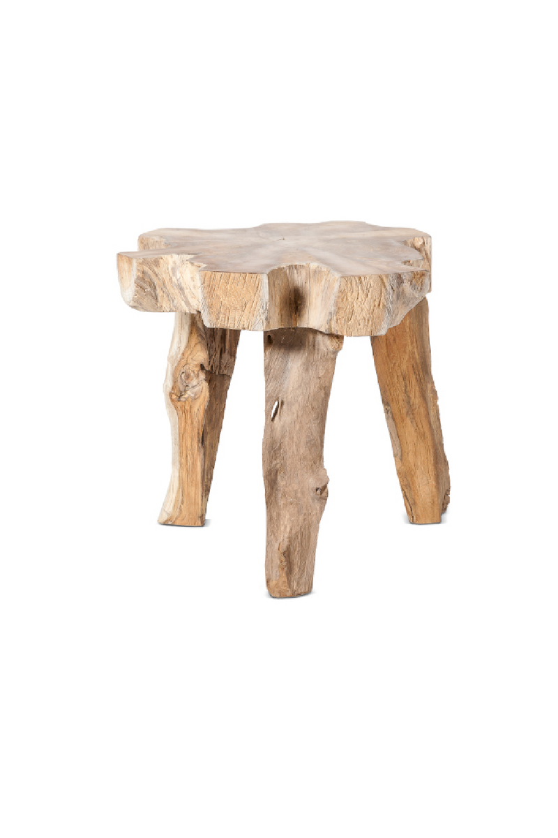 Natural Carved Teak Side Table | Dareels Erupta | Woodfurniture.com