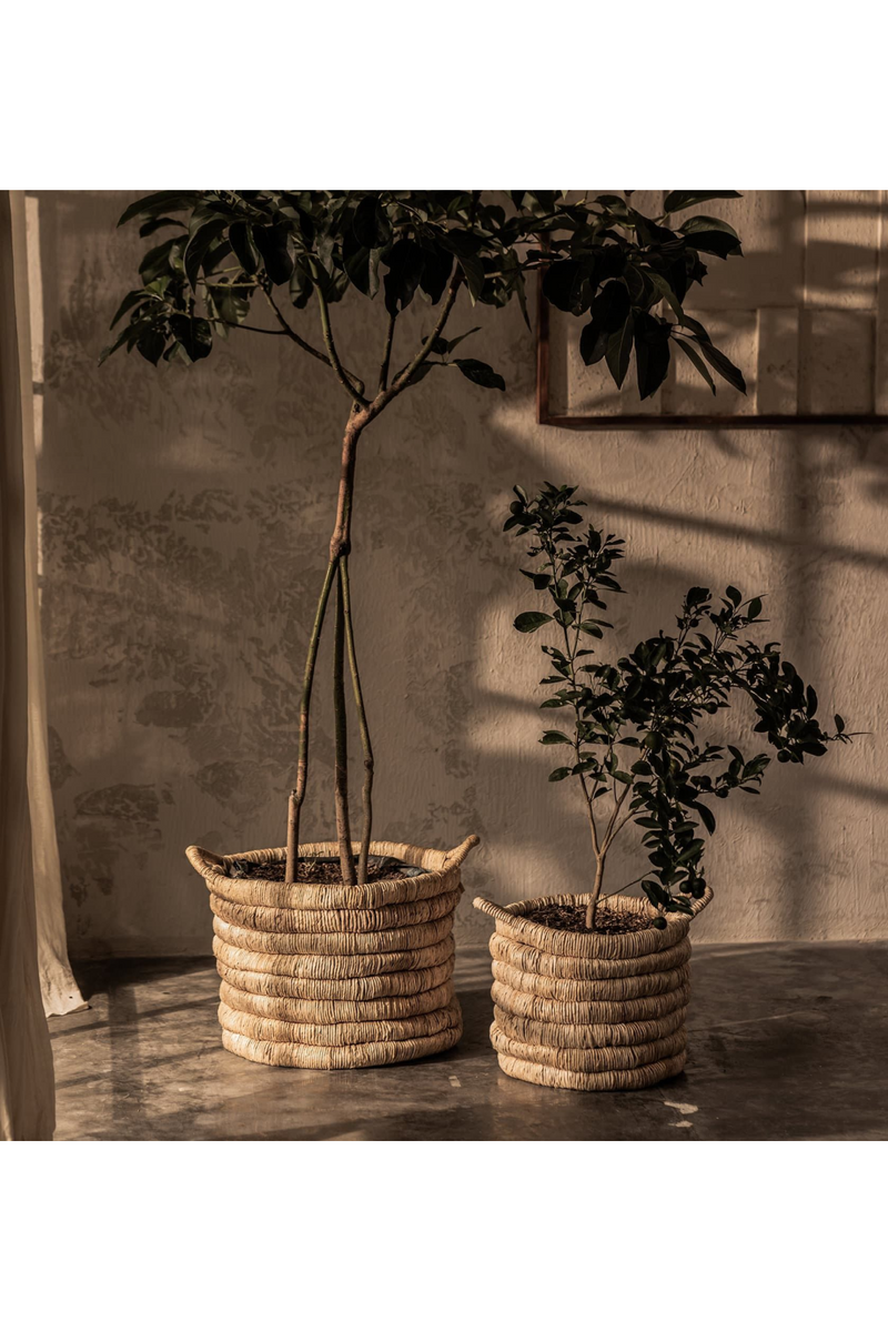 Round Abaca Basket With Handle | dBodhi Caterpillar Sago | Woodfurniture.com