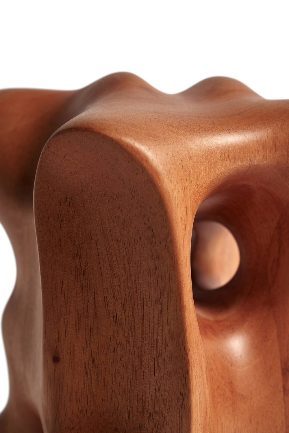 Varnished Sycamore Abstract Sculpture | Ethnicraft Organic | Woodfurniture.com