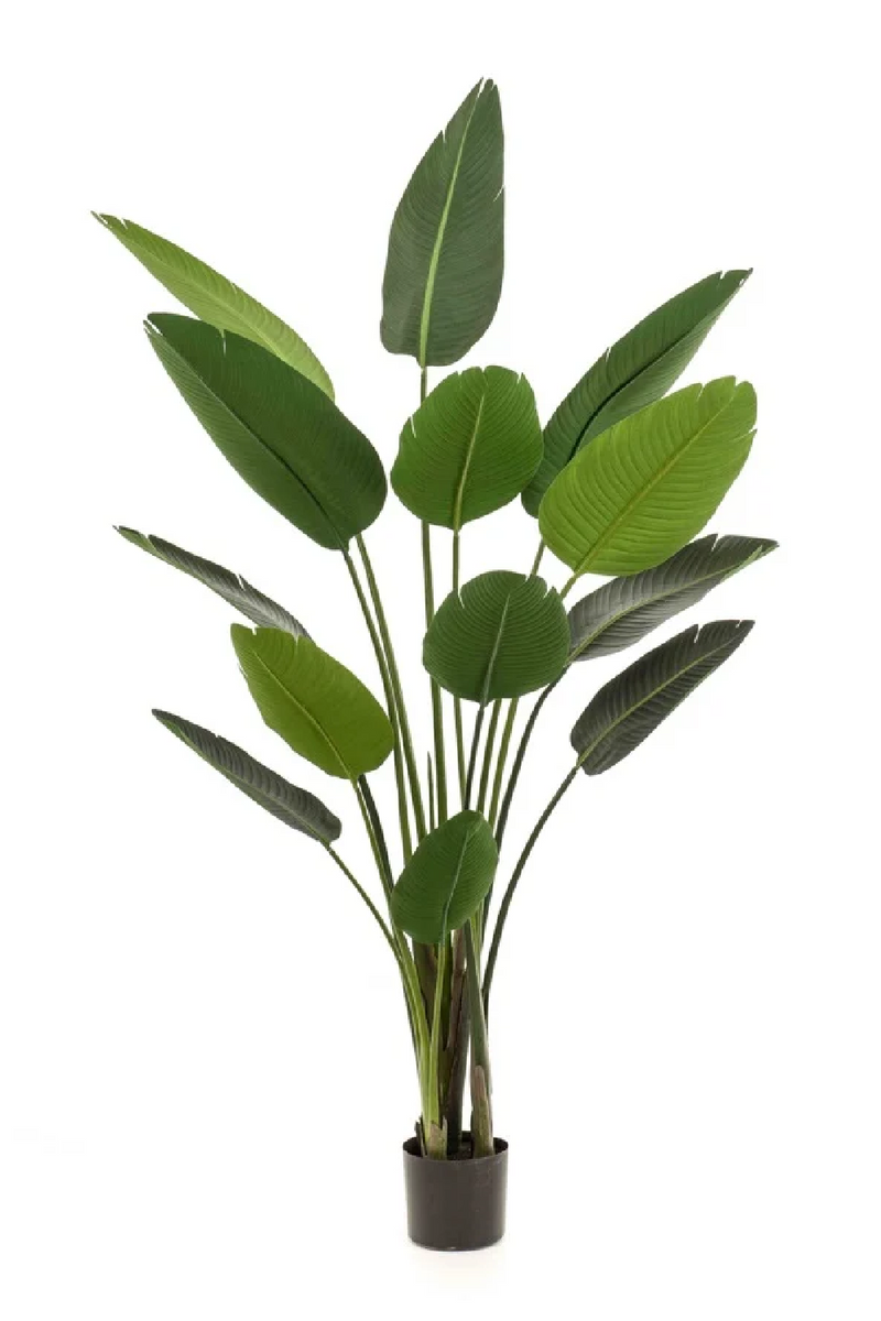 Potted Faux Houseplant Set (2) | Emerald Strelitzia | Woodfurniture.com