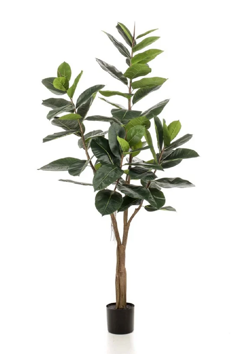 Potted Faux Tree Set (2) | Emerald Ficus Elastica | Woodfurniture.com