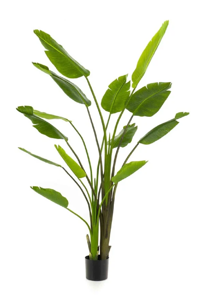 Faux Bird of Paradise Plant Set (2) | Emerald Strelitzia | Woodfurniture.com 