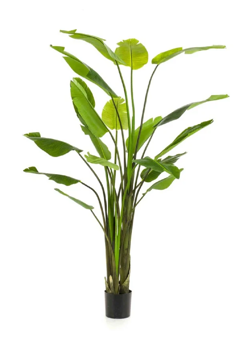 Faux Bird of Paradise Plant Set (2) | Emerald Strelitzia | Woodfurniture.com