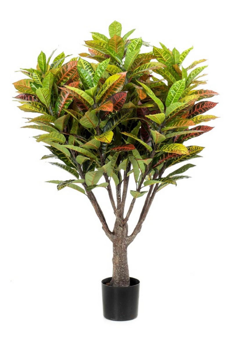 Artificial Colorful-Leaved Plant Set (2) | Emerald Croton | Woodfurniture.com