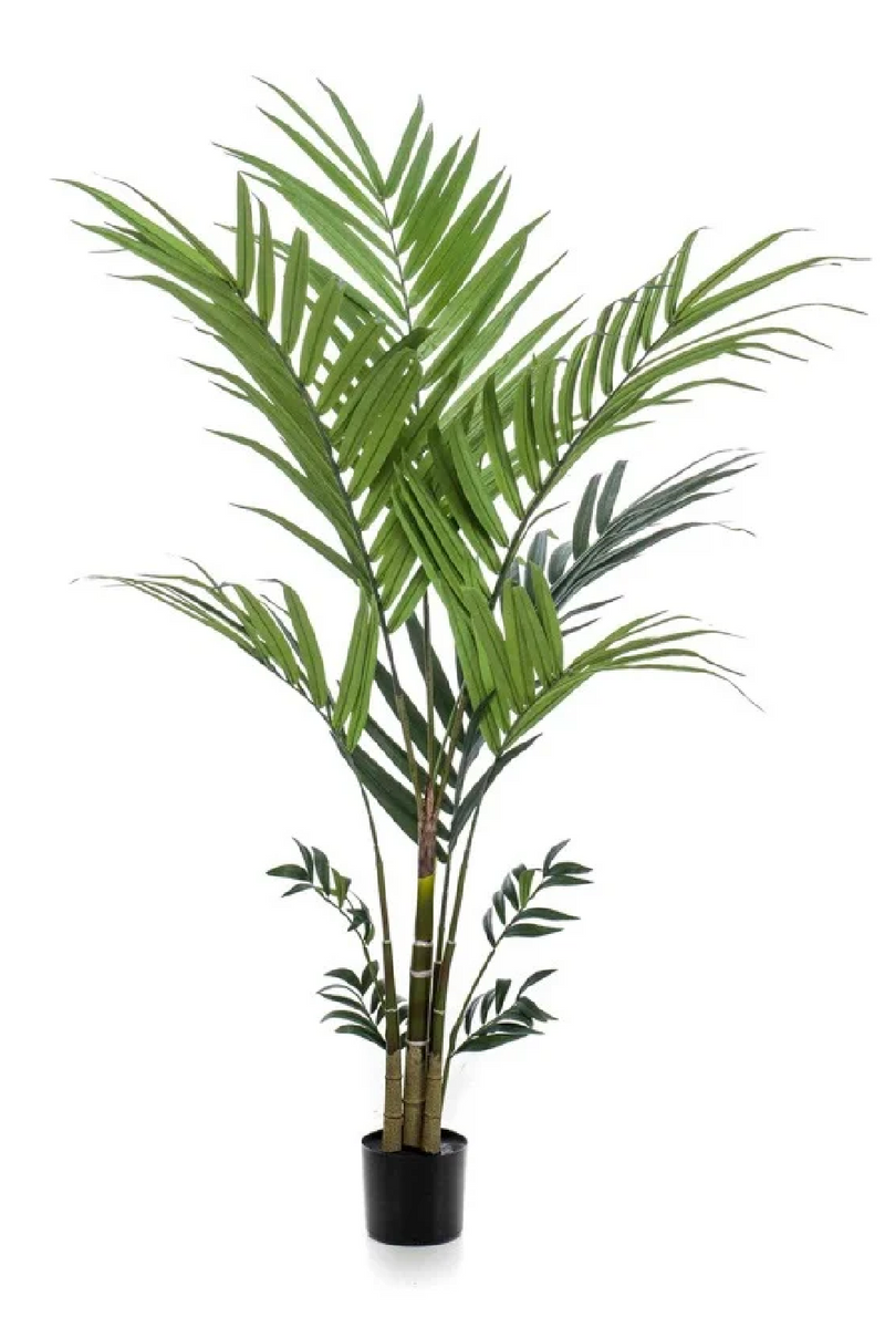 Artificial Tropical Palm Set (2) | Emerald Kentia | Woodfurniture.com