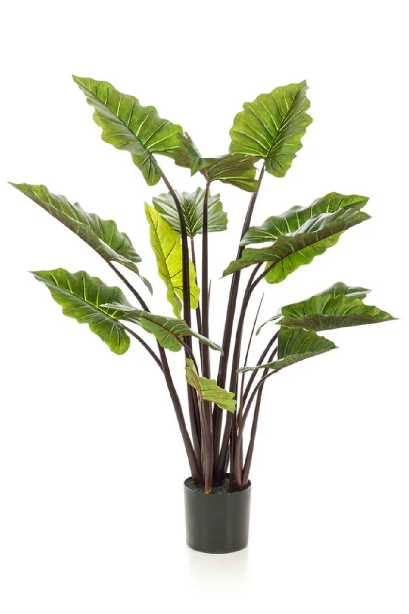 Artifical Tropical Plant Set (2) | Emerald Colocasia | Woodfurniture.com
