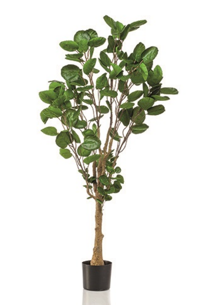 Artificial Dicot Dwarf Tree | Emerald Polyscias | Woodfurniture.com