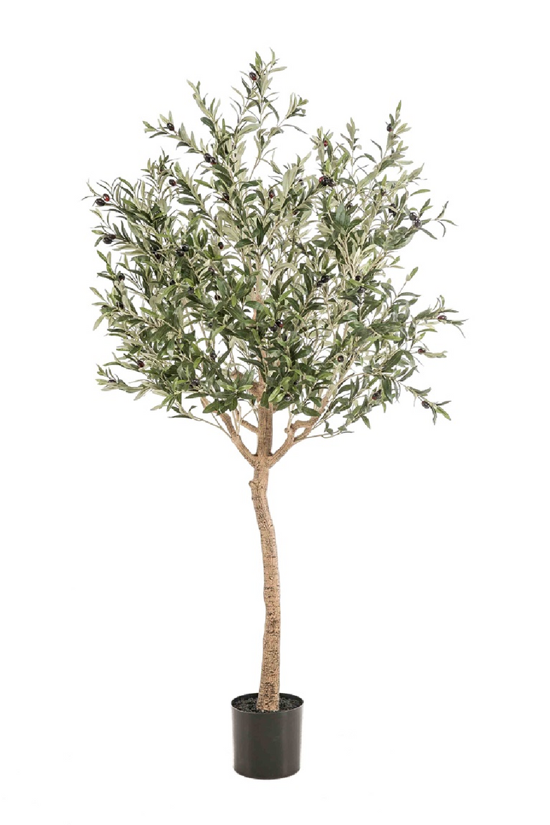Faux Mediterranean Evergreen Tree Set (2) | Emerald Olive | Woodfurniture.com