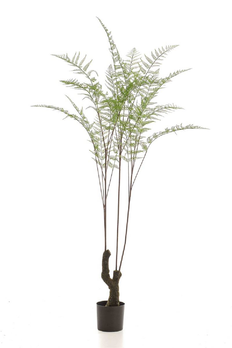 Decorative Potted Faux Plant Set (2) | Emerald Fern Forest On Trunk | Woodfurniture.com