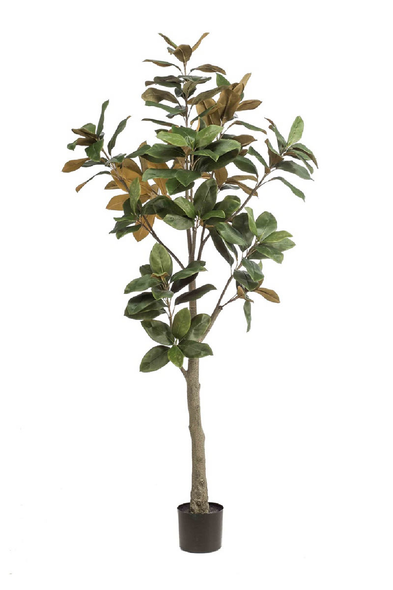 Faux Lily Tree Set (2) | Emerald Magnolia Denudata | Woodfurniture.com
