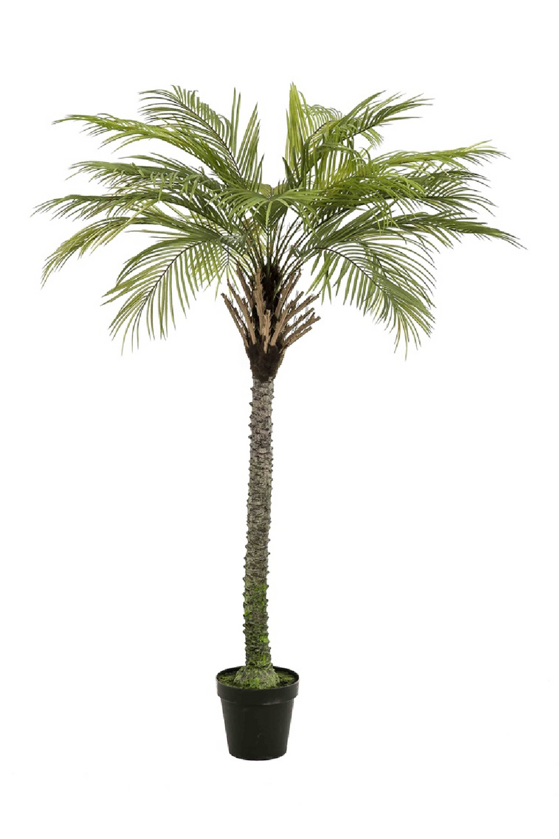 Artificial Date Tree Set (2) | Emerald Phoenix Palm Deluxe | Woodfurniture.com