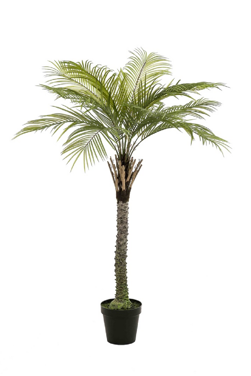 Artificial Date Tree | Emerald Phoenix Palm Deluxe | Woodfurniture.com