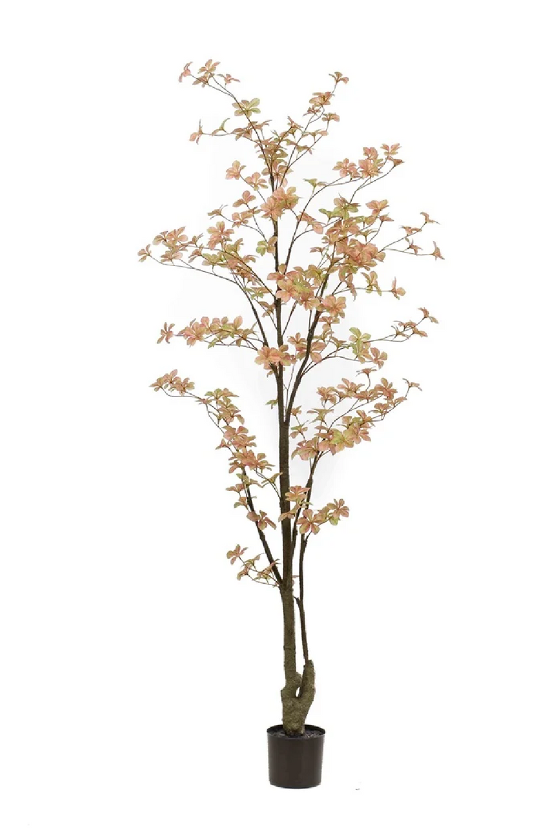 Peach Flowering Faux Plant Set (2) | Emerald Tropaeolum | Woodfurniture.com