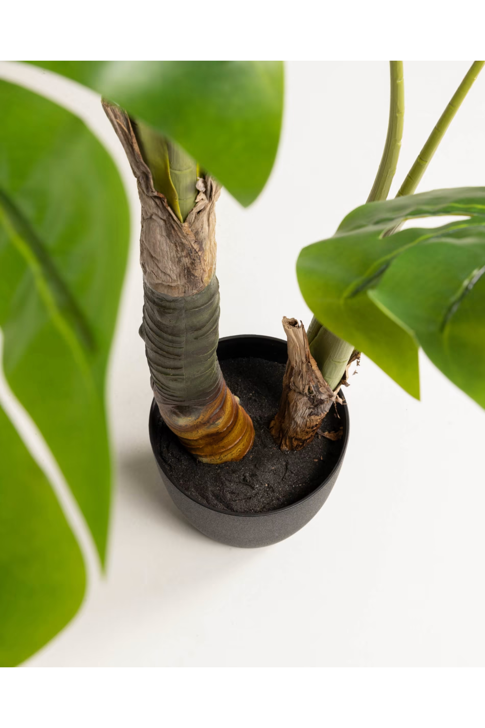 Potted Faux Decorative Plants (2) | La Forma Monstera | Woodfurniture.com