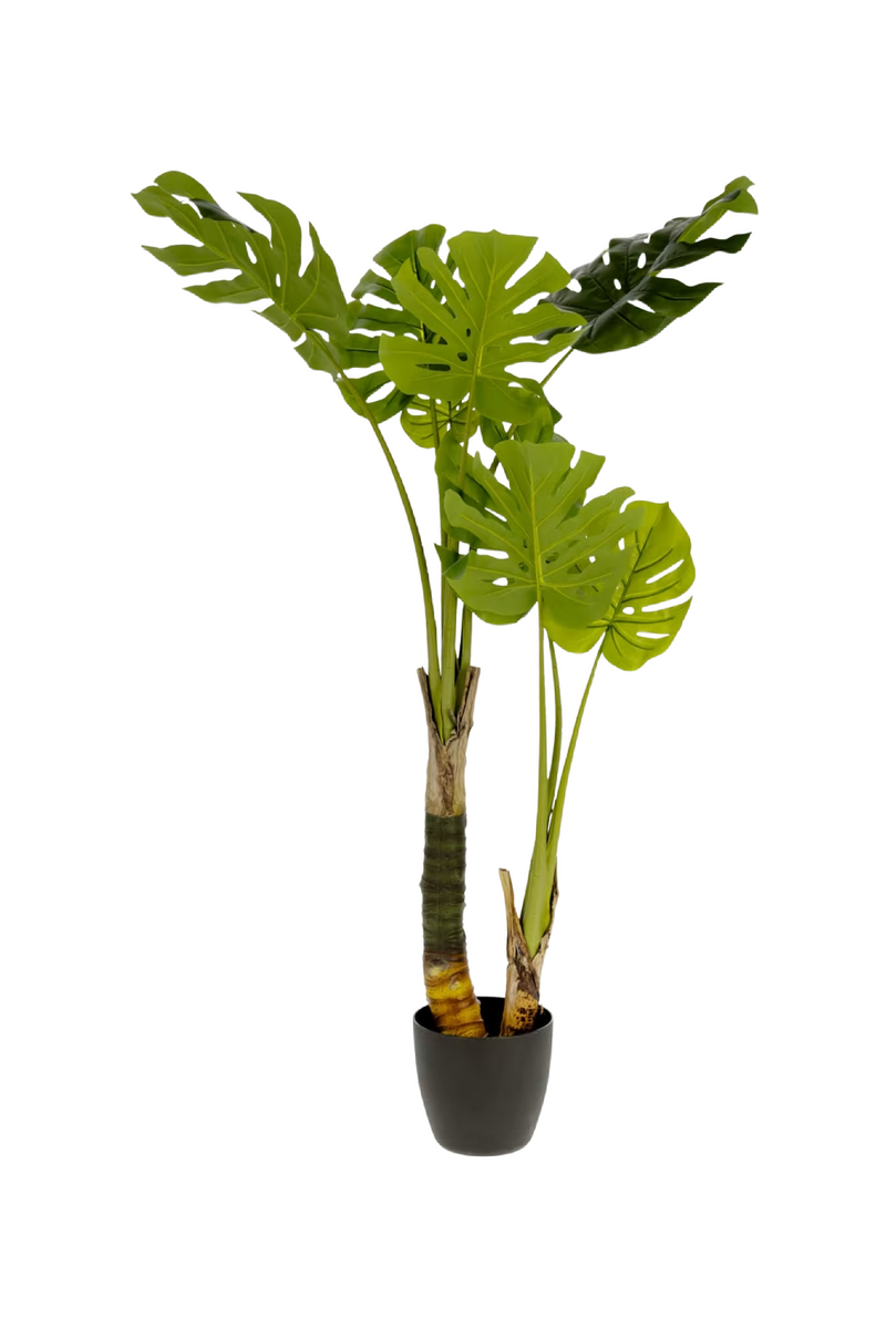 Potted Faux Decorative Plants (2) | La Forma Monstera | Woodfurniture.com