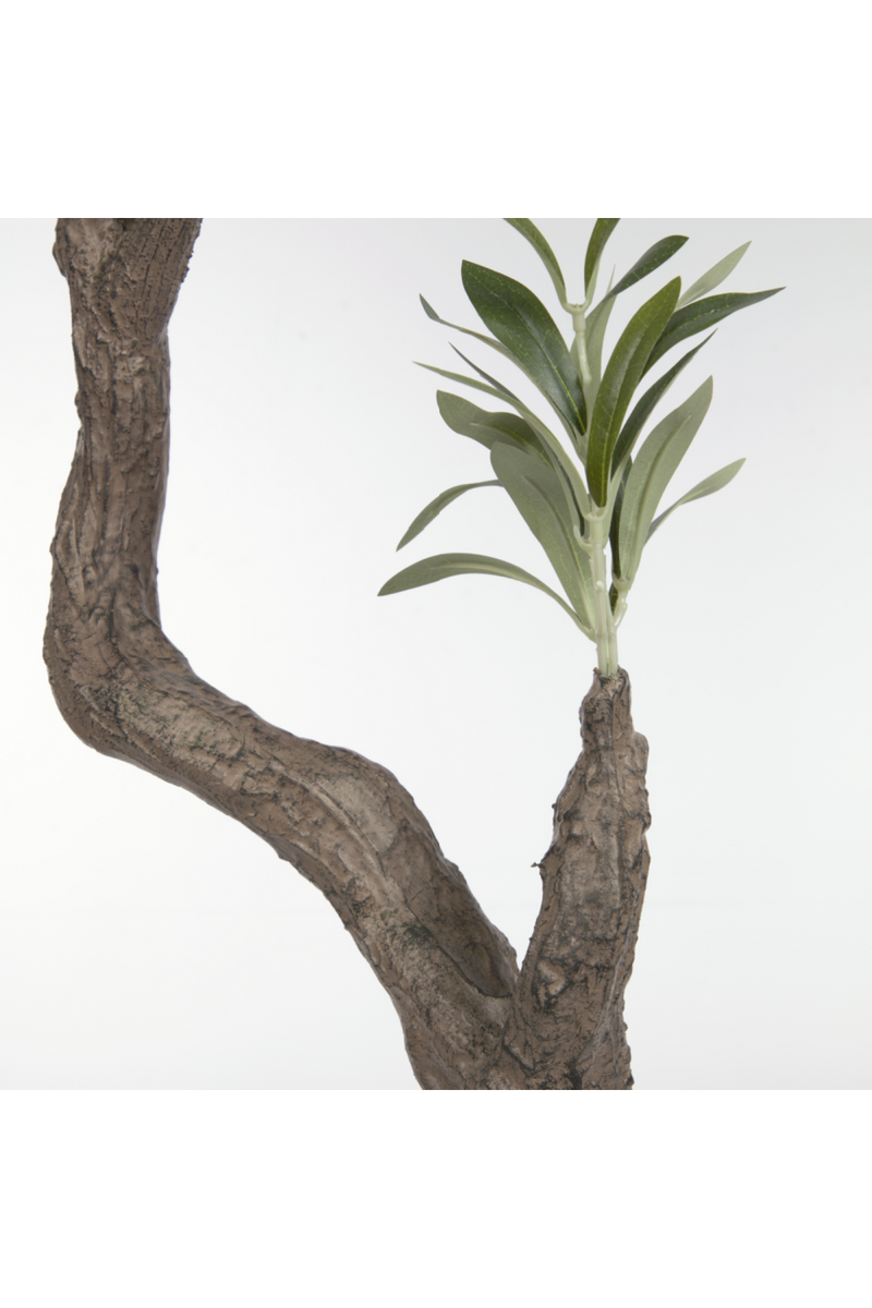 Black Potted Artificial Olive Trees Set (2) | La Forma Olivo  | Woodfurniture.com