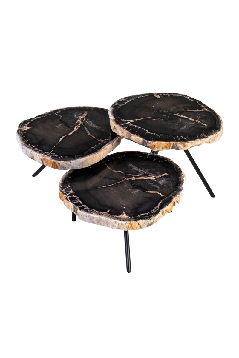 Petrified Wood Coffee Table Set (3) | Versmissen | Woodfurniture.com