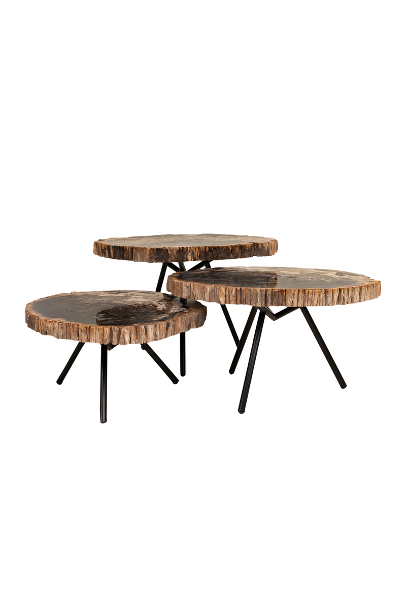 Petrified Wood Coffee Table Set (3) | Versmissen | Woodfurniture.com