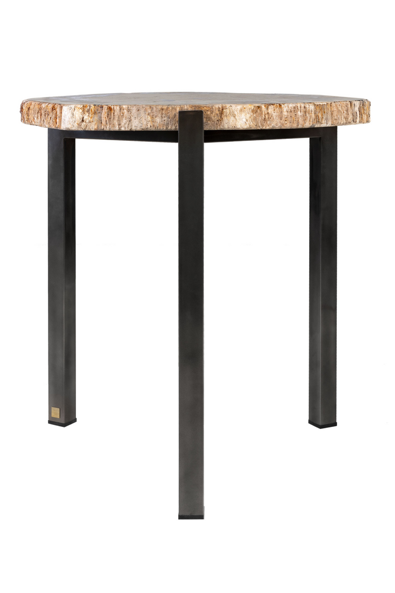 Petrified Wood Occasional Table | Versmissen | Woodfurniture.com