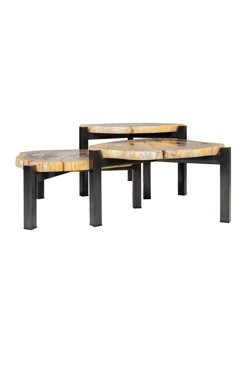Petrified Wood Nested Coffee Tables (3) | Versmissen | Woodfurniture.com