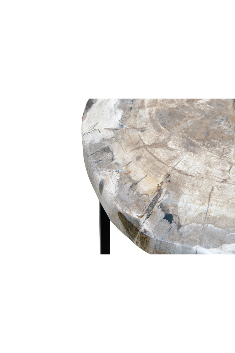 Petrified Wood Coffee Table | Versmissen | Woodfurniture.com