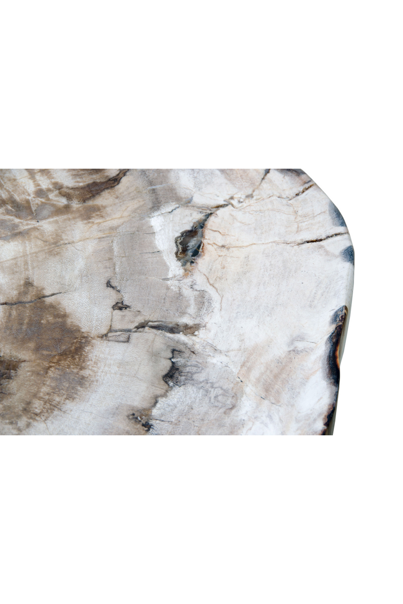 Petrified Wood Coffee Table | Versmissen | Woodfurniture.com