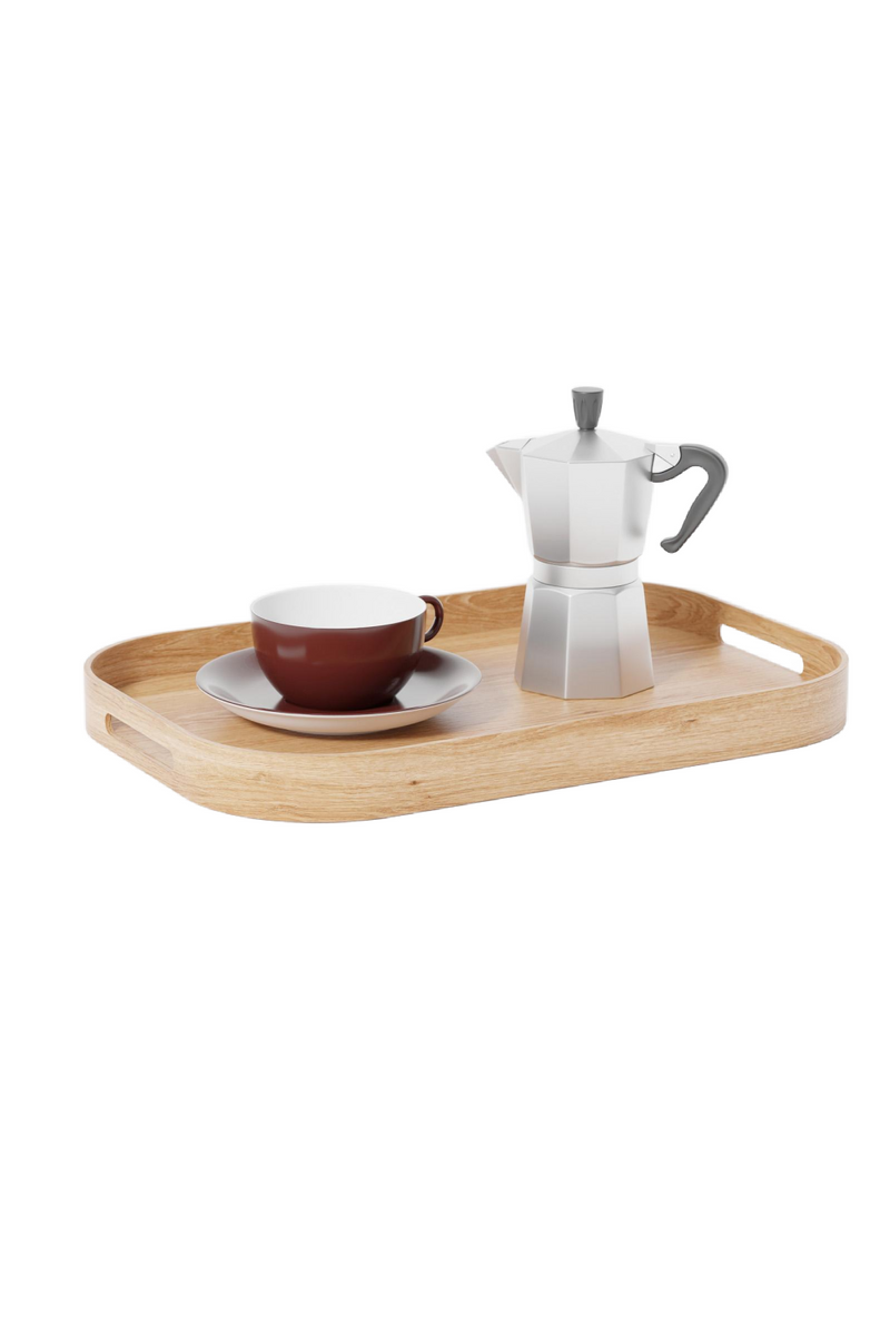 Matte Lacquered Rectangular Tray S | Wireworks Bellhop | Woodfurniture.com