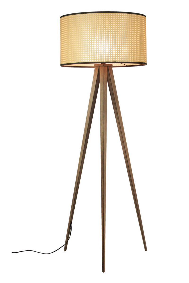 rijk Eed Zie insecten Dark Walnut Mesh Floor Lamp | Zuiver | European Wood Furniture